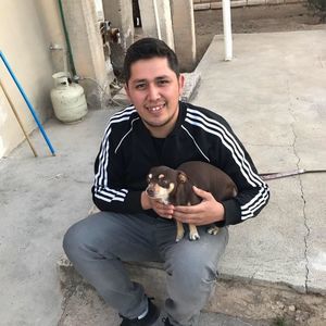 Meet your Posher, Israel